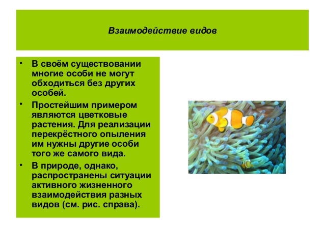 Вяжем рыбацкие сети Вяжем рыбацкие сети